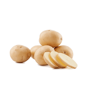 Potato