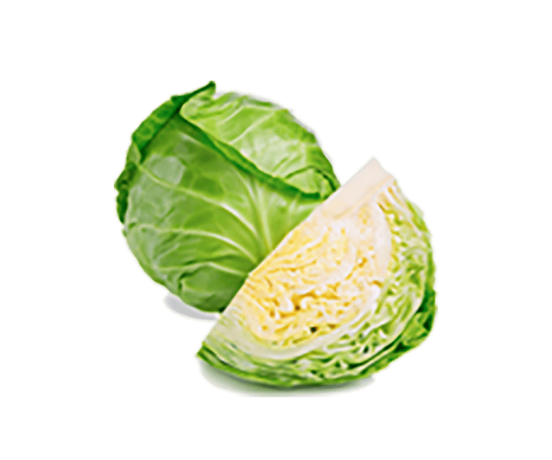 Cabbage
