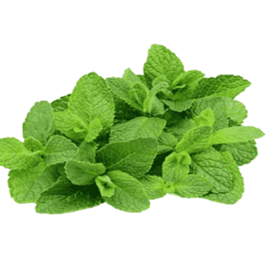 Mint Leaves