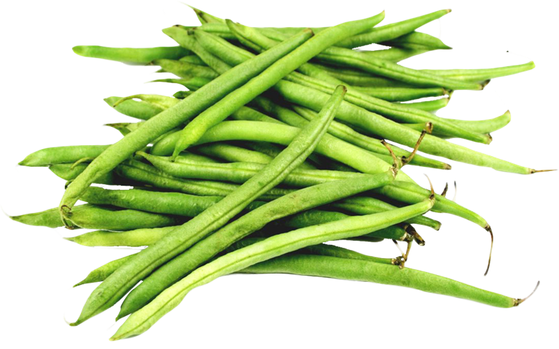 Fresh Beans