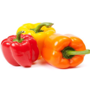 Capsicum