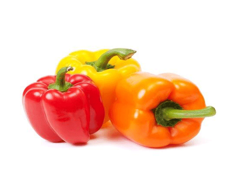 Capsicum