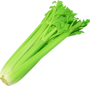 Celery