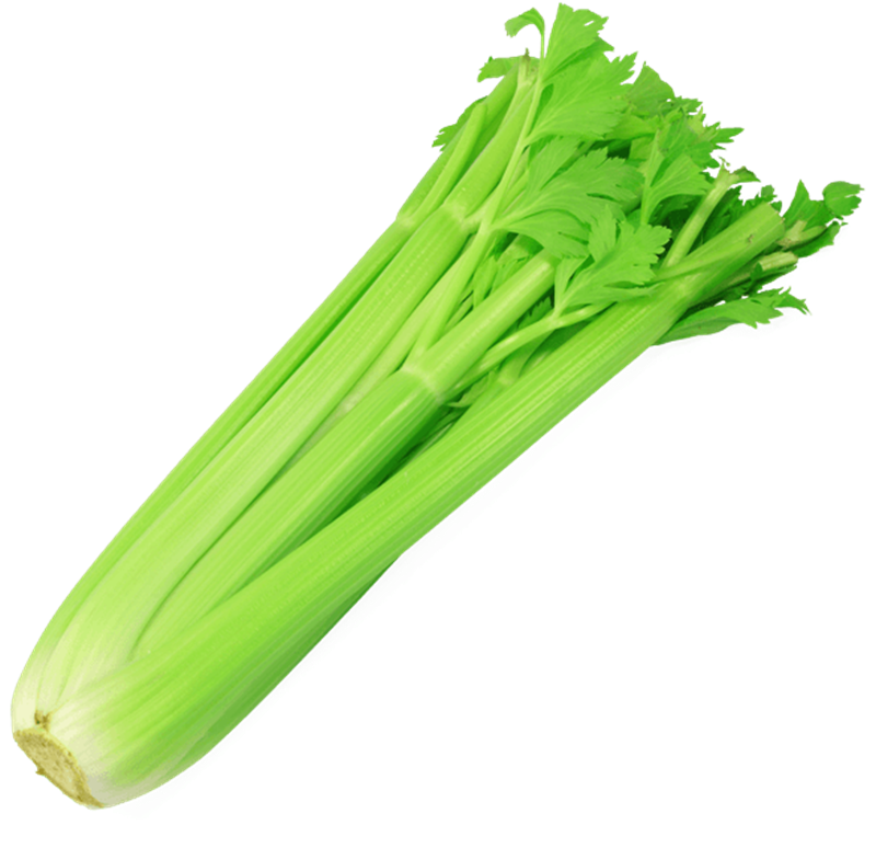 Celery