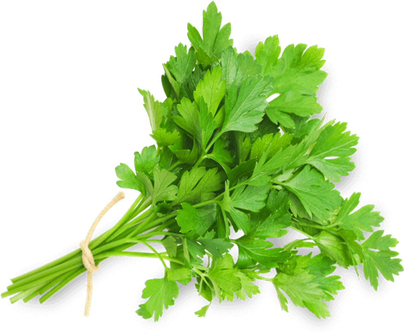 Parsley